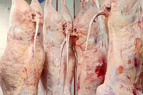 ¿Vuelven los mataderos de pueblo?