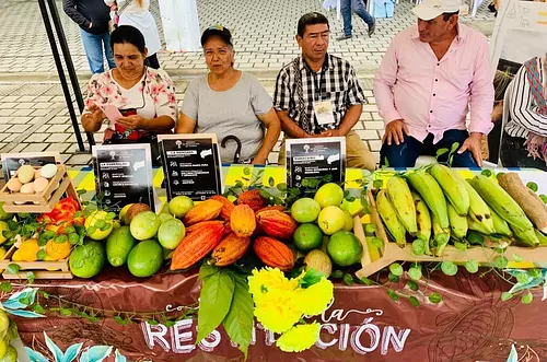 Así va la restitución de tierras en el Meta