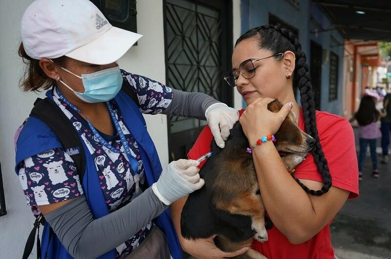 Habrá vacunación antirrábica para mascotas en Villavo
