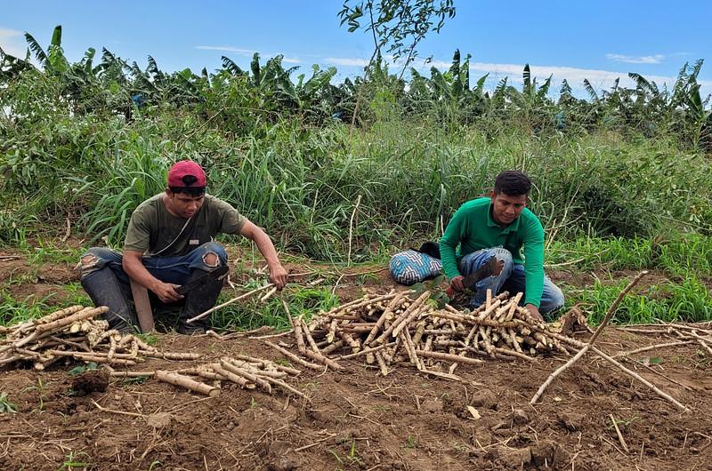 `Yucatón´ fortalece seguridad alimentaria indígena