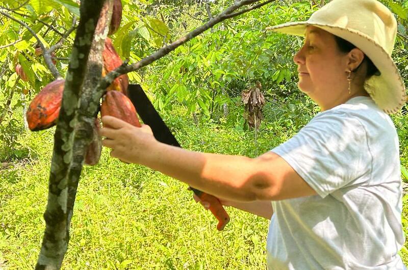 Llega la feria de la resiliencia campesina