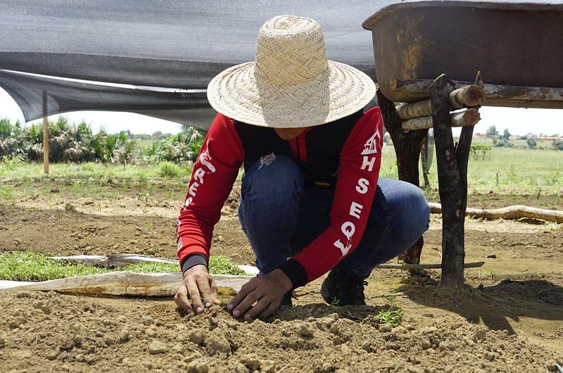 'Campo Emprende' beneficia a familias campesinas en el Meta