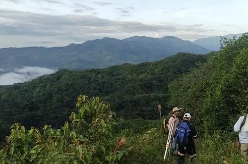  51 mil hectáreas han sido restituidas a víctimas en el Meta