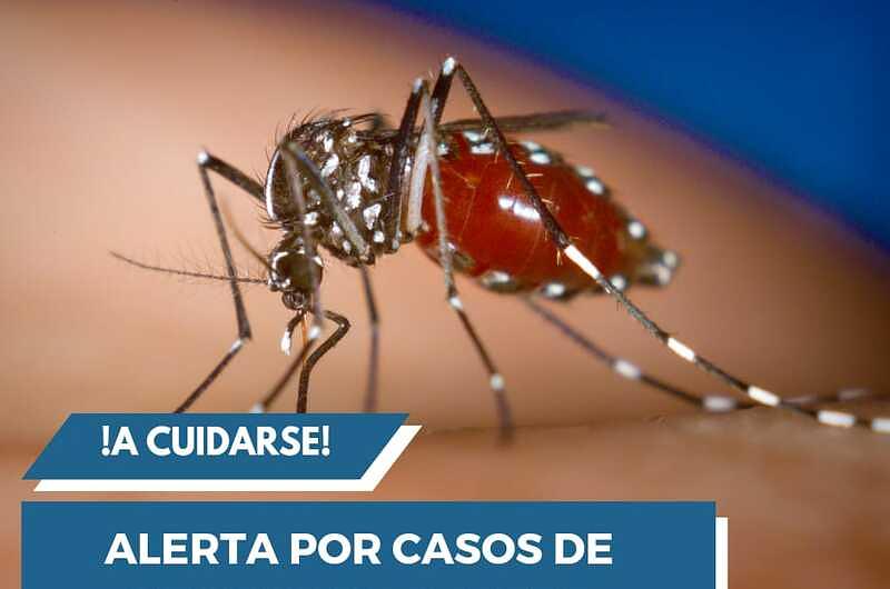 Autoridades de salud del Meta piden  cuidarse del Dengue 