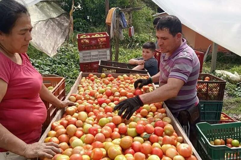 Qué hacer para atender demanda mundial de alimentos