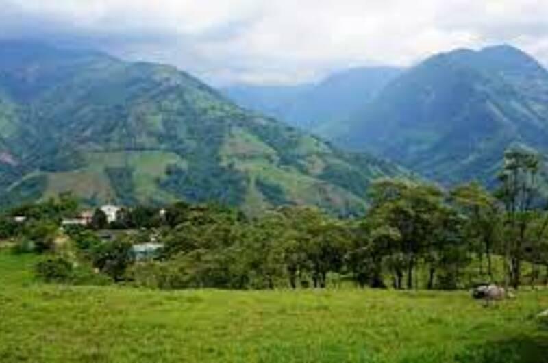 Víctimas de la guerrilla recuperan tierras en La Macarena