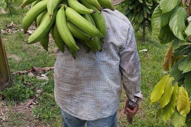 El fruto de sembrar en la tierra arrebatada