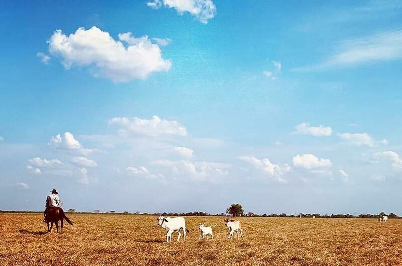 En dónde se hablará de agricultura y ganadería regenerativa