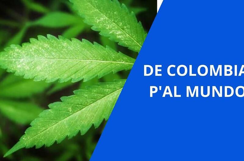 ¿Siguen creciendo las exportaciones de cannabis colombiana?