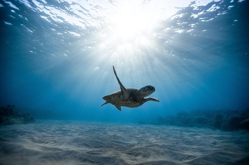 Colombia declara el 30 % de sus áreas marinas como protegida