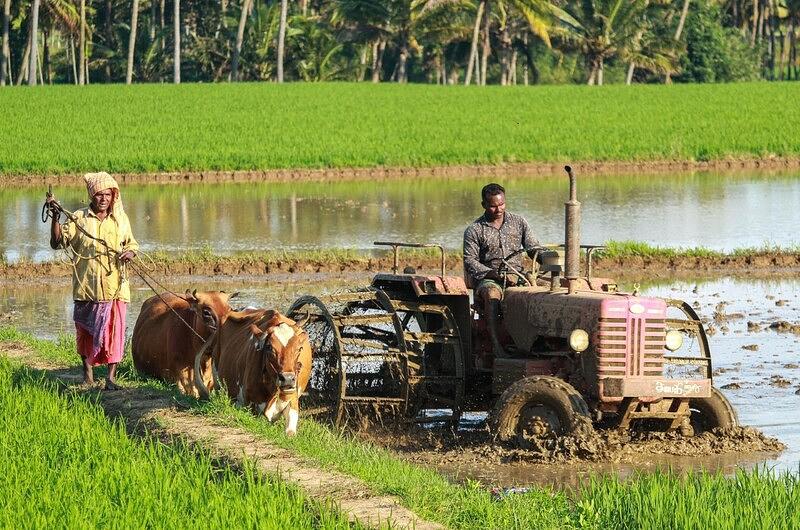 12 acciones para los agricultores en temporada de lluvias