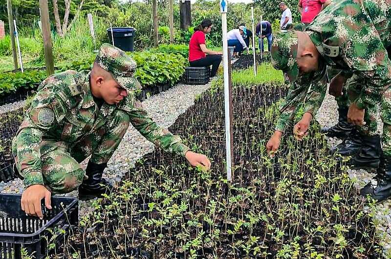 ¿Se romperá récord de árboles sembrados en un minuto?