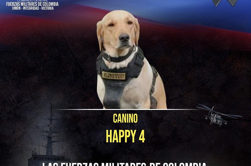 'Happy 4', el adiós a un héroe anónimo