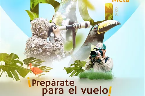 Por el récord en avistamiento de aves en el Big Day 2023