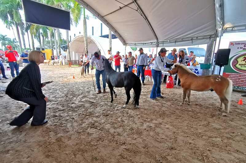 Los 'miniatura' se crecieron en Expomalocas 2022