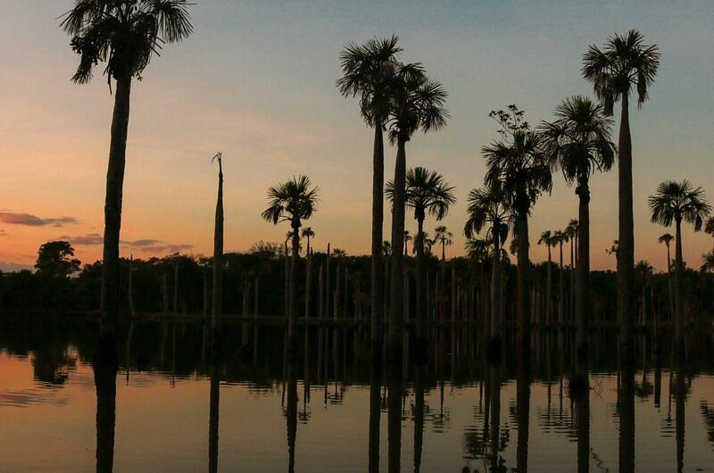 ¿Qué tal eres para la fotografía ambiental?