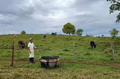 ¿Comó combaten la deforestación en el Guaviare?
