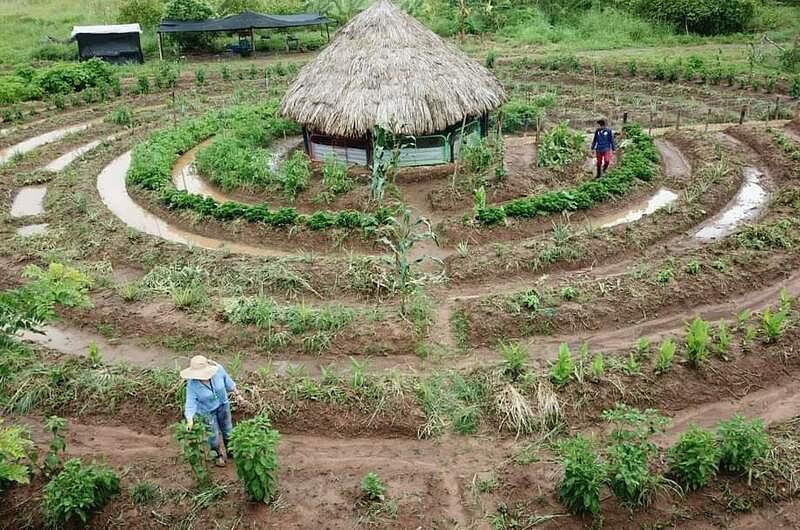 Qué es 'Huerta Circular' de institución educativa indígena