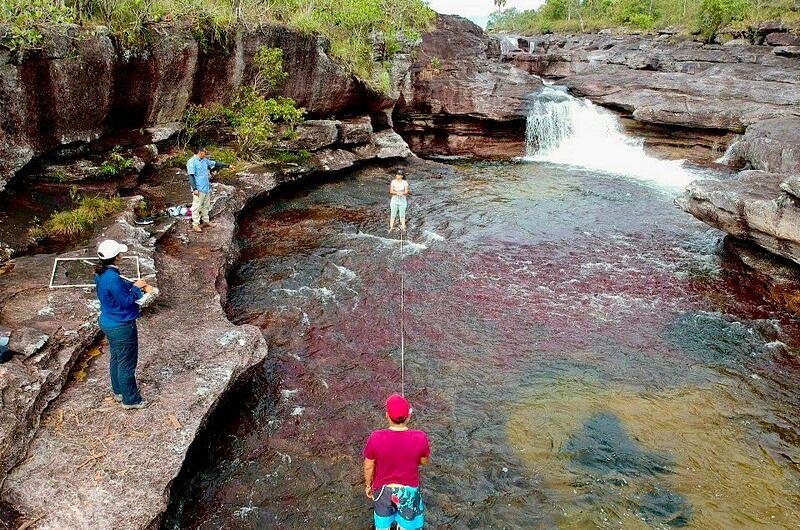 Por qué cerrarían Caño Cristales