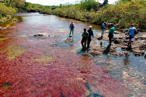 ¿Multa económica por ingresar a Caño Cristales?