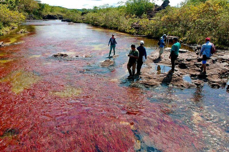 ¿Multa económica por ingresar a Caño Cristales?