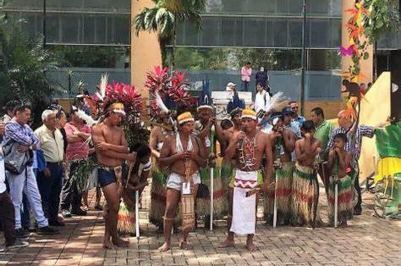 Niños indígenas del Meta, prioridad para el Gobierno