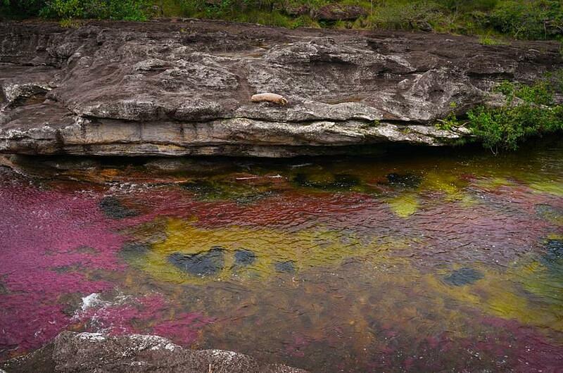 Caño Cristales, destino turístico 