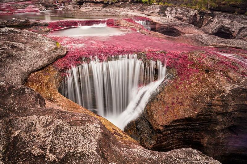 Caño Cristales aún no abre al público