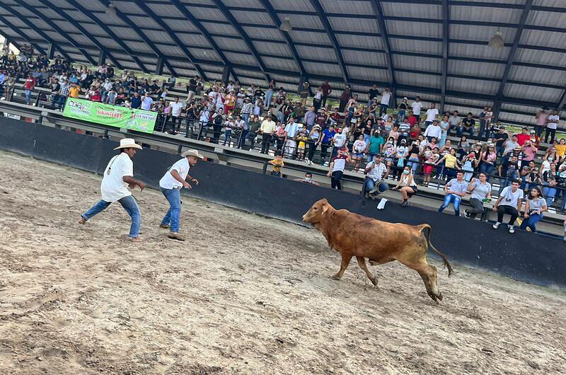 Así se desarolló Campeonato de Trabajo de Llano 