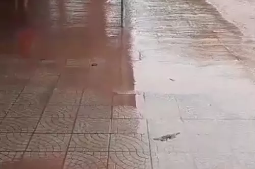 Por inundación, suspenden vuelos en Aeropuerto Vanguardia 