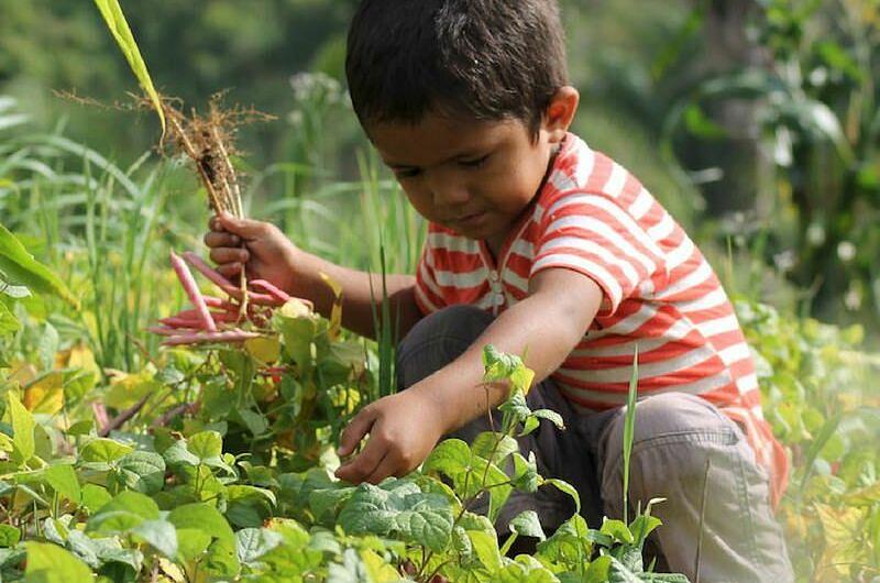 Niños ambientalistas podrán viajar gratis por el país