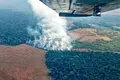 Llamado internacional de académicos por incendios forestales