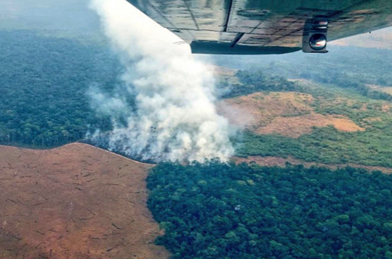 Llamado internacional de académicos por incendios forestales