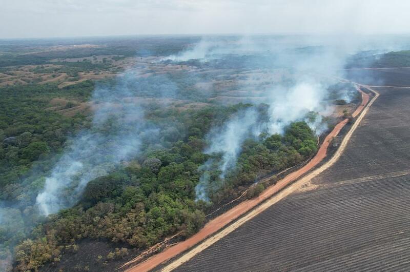 Incendio afectó 1.200 hectáreas en Puerto López  