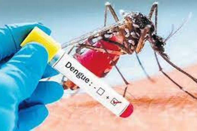 Alerta por casos de dengue en Villavicencio