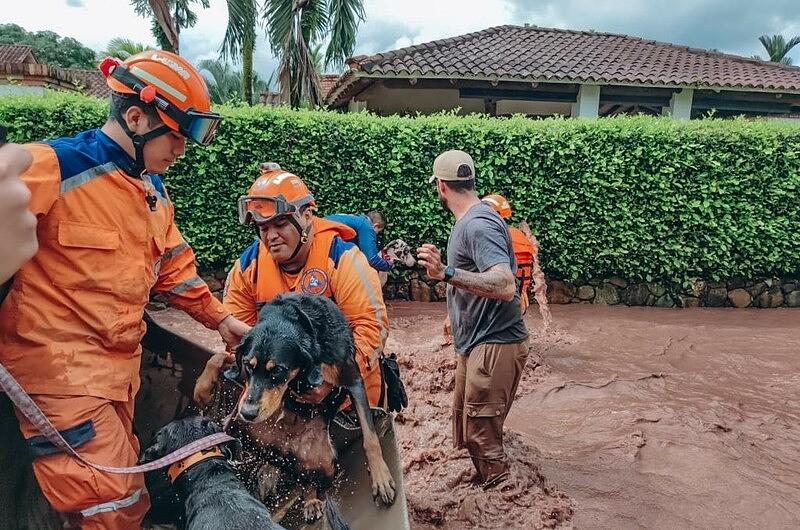 Las mascotas, los otros afectados con la emergencia invernal