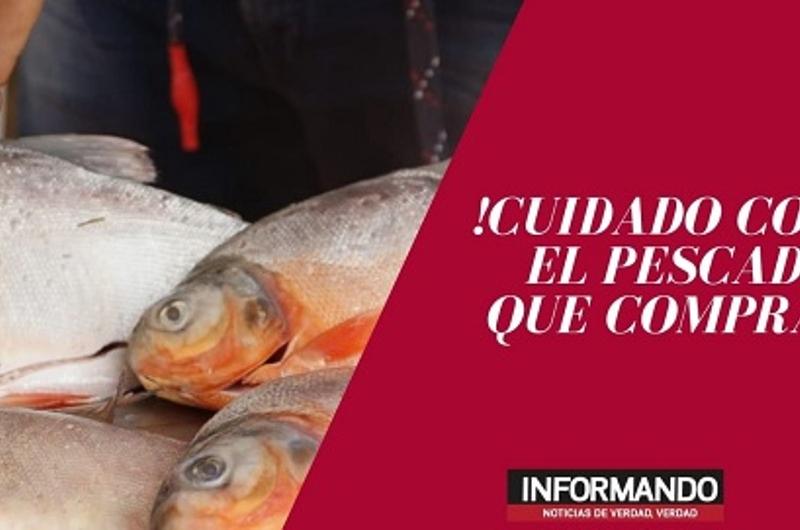 Siga estas recomendaciones a la hora de comprar pescado