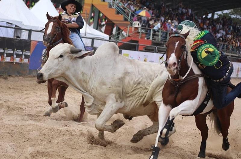 Prográmese para Expomalocas 2022