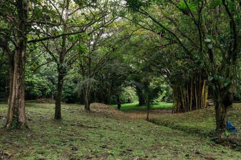 Parque Metropolitano: pros y contras  