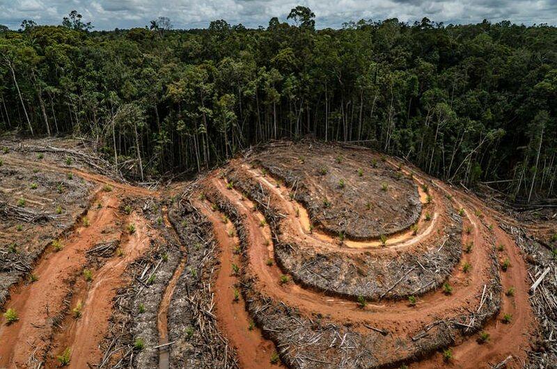 “Urge detener masacre ambiental en Colombia”: Contraloría