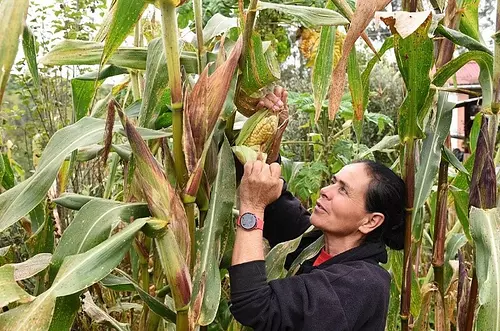 Mujeres: así pueden fortalecer sus emprendimientos