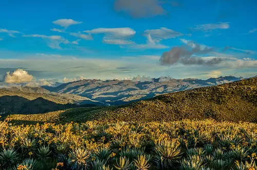 Cormacarena realizará  estudios en Páramo de Chingaza
