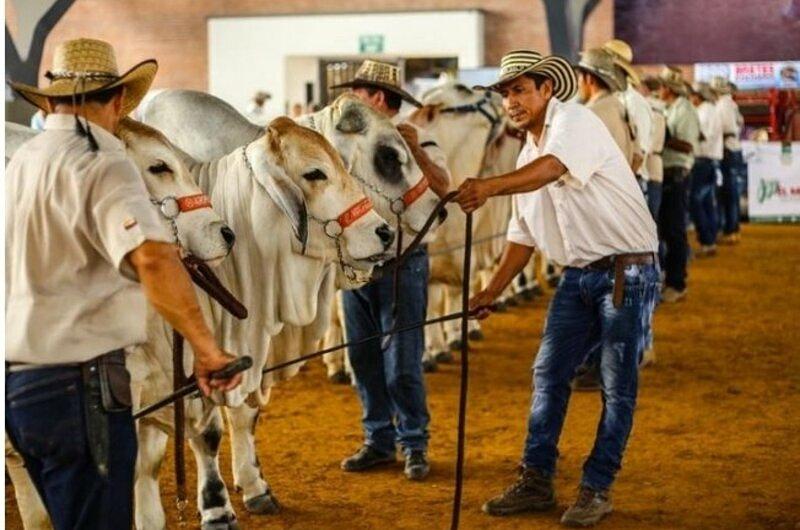 "Expomalocas se realizará en marzo":  Asocebú 