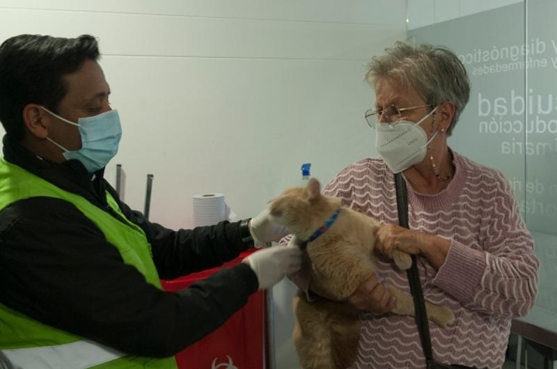 Cómo obtener el certificado para viajar con su mascota