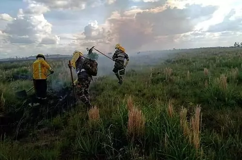 Incendio destruye 45 mil hectáreas en el parque El Tuparro
