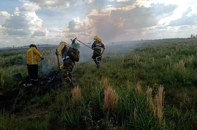 Incendio destruye 45 mil hectáreas en el parque El Tuparro