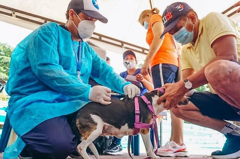 Villavicencio:  habrá jornada de vacunación antirrábica
