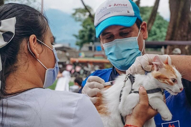 Crecen ataques de animales trasmisores de rabia