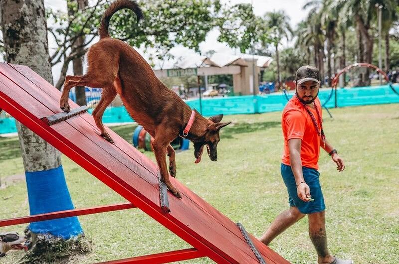 Villavicencio tiene parque para mascotas