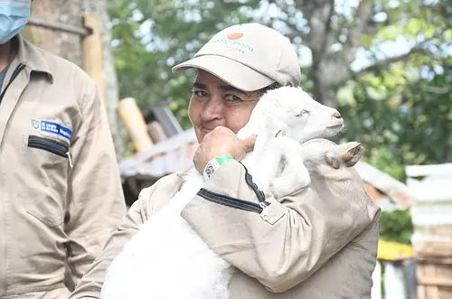 Emprendedores rurales del Meta se graduaron como técnicos 